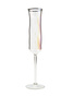CAMELOPARDALIS champagne glass rainbow effect