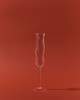 CAMELOPARDALIS champagne glass